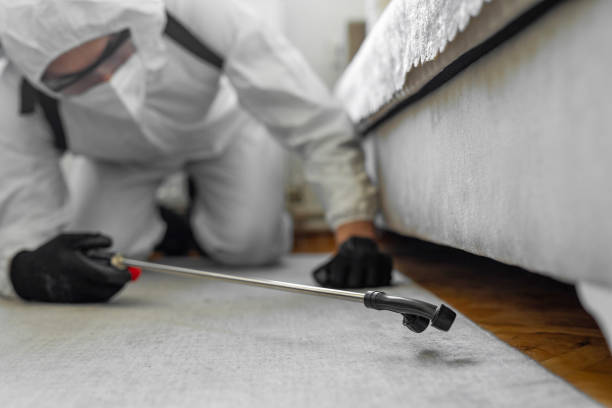 Professional Termite Control technician working in Scott AFB, IL