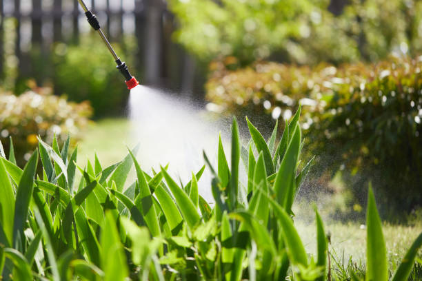 24/7 Emergency Termite Control experts in Scott AFB, IL