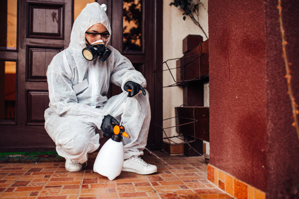 Reliable Termite Control contractor in Scott AFB, IL by Nex Pest Control